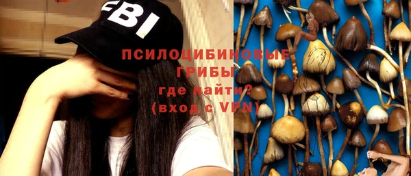 амф Алексеевка