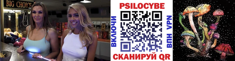 что такое наркотик Сясьстрой Галлюциногенные грибы прущие грибы